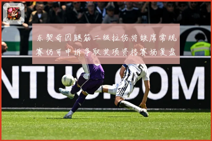 东契奇因腿筋二级拉伤将缺席常规赛仍可申诉争取奖项资格赛场复盘：最新赛事动态与深度分析